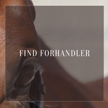 Find Forhandler