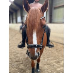 byWeber Trense "Jolly" sort/slv