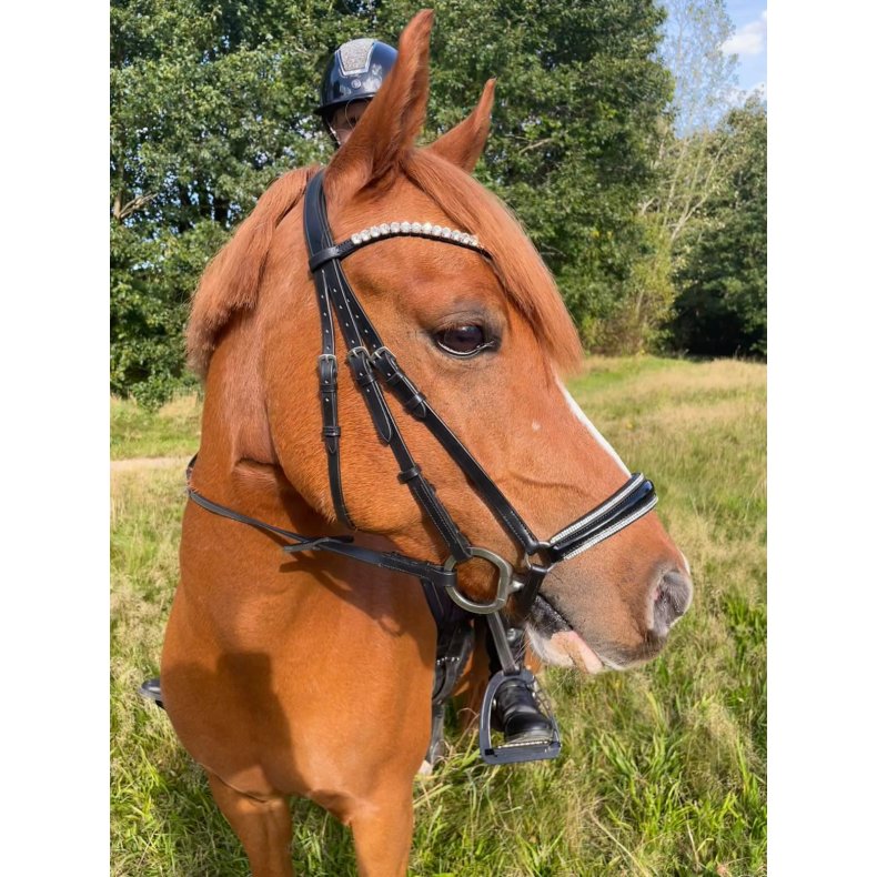 byWeber Trense "Jolly" sort/s�lv (cob/full)