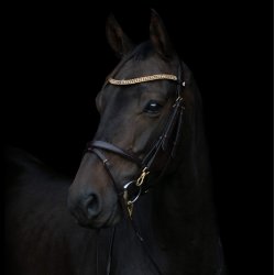 byWeber Trense "Alex" brun/messing