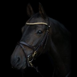 byWeber Trense "Alex" brun/messing