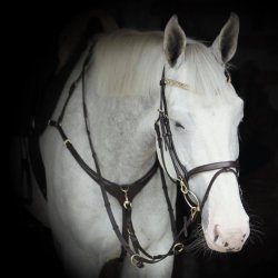 byWeber Trense "Alex" brun/messing