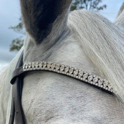 byWeber Trense "Alex" brun/slv