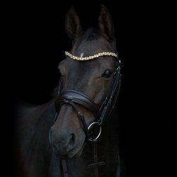 byWeber Trense "Amanda" brun/brun/messing