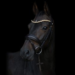 byWeber Trense "Amanda" brun/brun/messing