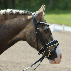 byWeber Trense "Amanda" sort/hvid/slv