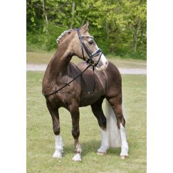 byWeber Trense "Amanda" sort/hvid/slv