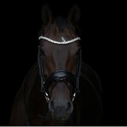 byWeber Trense "Amanda" sort/sort/slv