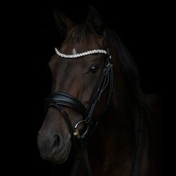 byWeber Trense "Amanda" sort/sort/slv