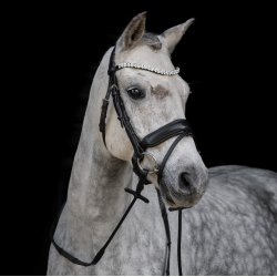 byWeber Trense "Andrea" sort/sort/slv