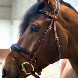 byWeber Trense "Augusta" sort/brun
