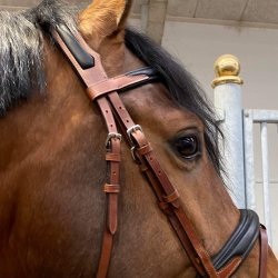 byWeber Trense "Augusta" sort/brun