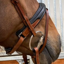 byWeber Trense "Augusta" sort/brun