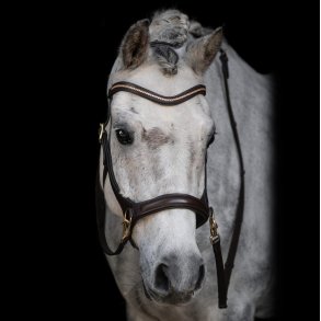 byWeber Trense Bidls 