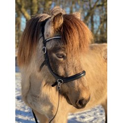 byWeber Trense Bidls "Austin" sort/slv