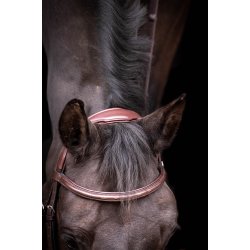 byWeber Trense "London" anut brown