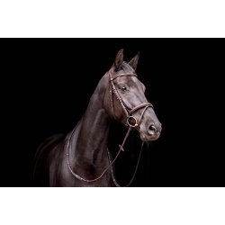 byWeber Trense "London" anut brown