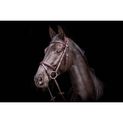 byWeber Trense "London" anut brown