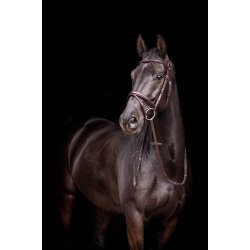 byWeber Trense "London" anut brown