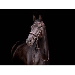 byWeber Trense "London" anut brown