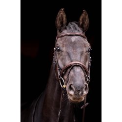 byWeber Trense "London" anut brown