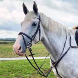 byWeber Fortj "Catina" anut brown/ slv