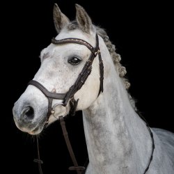 byWeber Trense "Cayenne" brun/messing