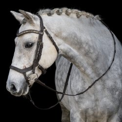 byWeber Trense "Cayenne" brun/messing