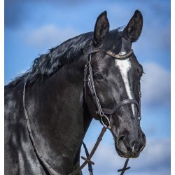 byWeber Trense "Cayenne" brun/messing