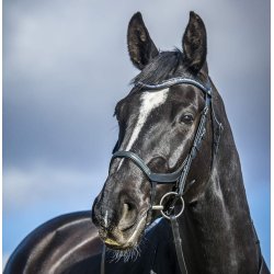 byWeber Trense "Cayenne" sort/slv