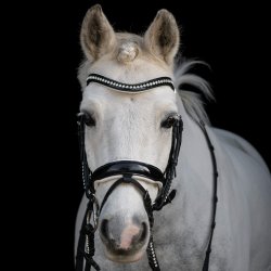 byWeber Trense "Eleganza" Sort