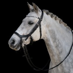 byWeber Trense "Gabrielle" sort