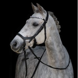 byWeber Trense "Gabrielle" sort