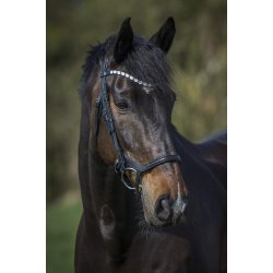 byWeber Trense "Gabrielle" sort