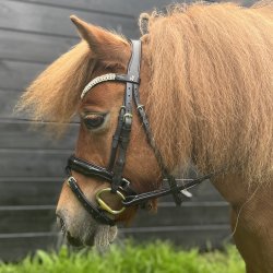 byWeber Trense Shetland "Glory" sort