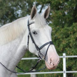 byWeber Trense "Hugo" sort/slv