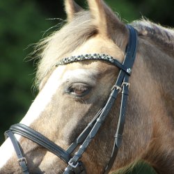 byWeber Trense "No 2" sort