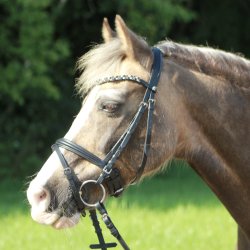 byWeber Trense "No 2" sort