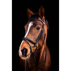 byWeber Trense "London" sort