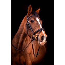 byWeber Trense "London" sort