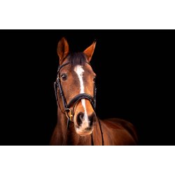 byWeber Trense "London" sort