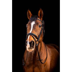 byWeber Trense "London" sort