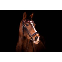 byWeber Trense "Molly" sort/pink (cob, full)