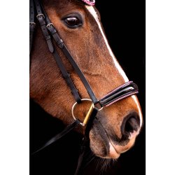 byWeber Trense "Molly" sort/pink (cob, full)