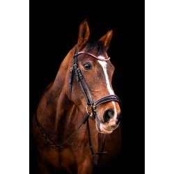 byWeber Trense "Molly" sort/pink (cob, full)