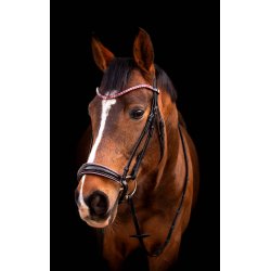 byWeber Trense "Molly" sort/pink (cob, full)