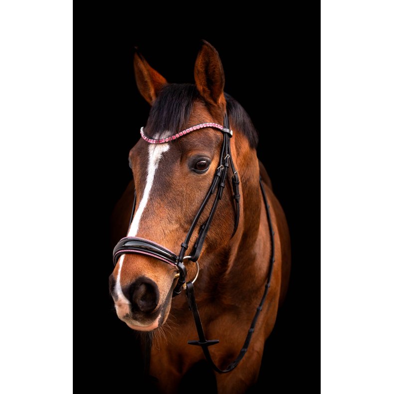 byWeber Trense "Molly" sort/pink (cob, full)