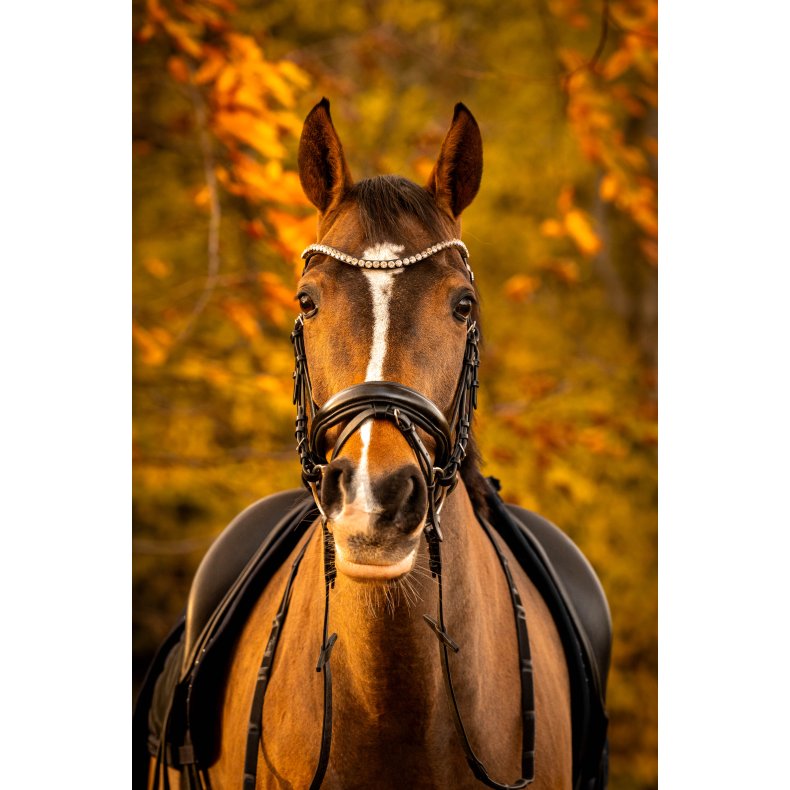 byWeber Trense "Madison" sort/slv