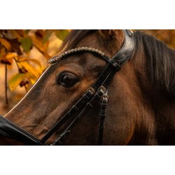 byWeber Trense "Madison" sort/slv