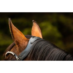 byWeber Trense "Madison" sort/slv